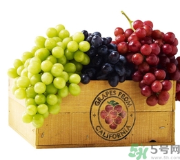 葡萄酒保質(zhì)期是多久？葡萄酒過期了能喝嗎？