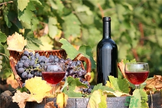 葡萄酒為什么要醒酒？葡萄酒醒酒的方法