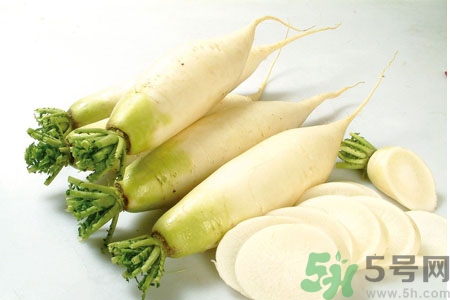 白蘿卜怎么保存？白蘿卜能放多久不壞？