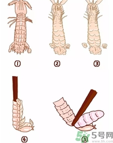皮皮蝦扎手有毒嗎?被皮皮蝦扎手怎么處理? 皮皮蝦扎手有毒嗎?被皮皮蝦扎手怎么處理?