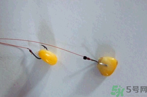 煮熟的玉米能釣魚嗎？煮熟的玉米能直接釣魚嗎？