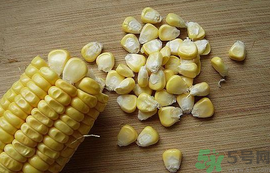 玉米?？梢葬炇裁呆~？玉米粒釣魚方法