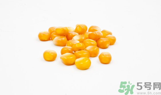 玉米粒可以釣什么魚？玉米粒釣魚方法