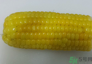煮熟的玉米能釣魚嗎？煮熟的玉米能直接釣魚嗎？