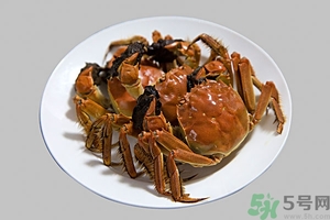 吃大閘蟹配什么酒好？大閘蟹和什么酒搭配最好吃