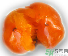 新鮮柿子皮可以吃嗎？吃了柿子皮怎么辦？