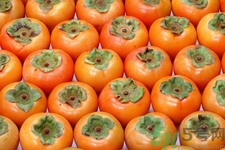 吃柿子喝酸奶會中毒嗎？吃柿子可以喝酸奶嗎？