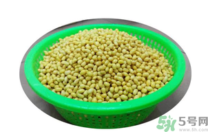 新鮮黃豆怎么保存？新鮮黃豆米如何保存？