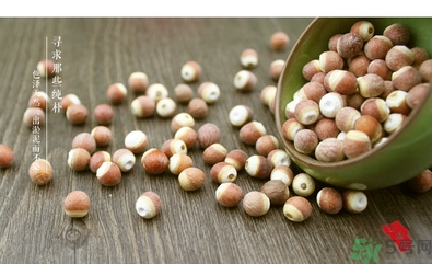 芡實是什么東西?芡實怎么吃最營養(yǎng) 芡實是什么東西?芡實怎么吃最營養(yǎng)