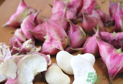 哺乳期可以吃菱角嗎?哺乳期吃菱角好嗎 哺乳期可以吃菱角嗎?哺乳期吃菱角好嗎