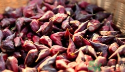 哺乳期可以吃菱角嗎?哺乳期吃菱角好嗎 哺乳期可以吃菱角嗎?哺乳期吃菱角好嗎