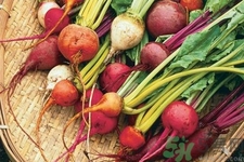 女性吃甜菜能排毒嗎？甜菜怎么吃最好？