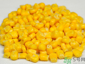 玉米粒怎么釣魚？怎么用玉米粒釣魚？