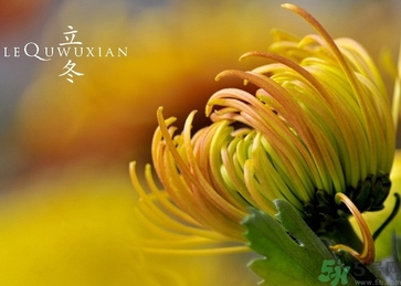 立冬可以釣魚嗎？立冬釣魚注意事項(xiàng)