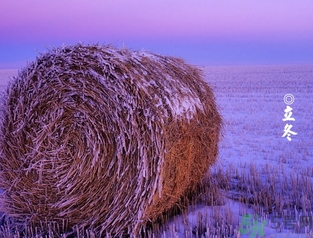 立冬可以釣魚嗎？立冬釣魚注意事項(xiàng)