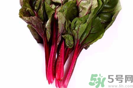 甜菜是甜的嗎？甜菜到底是不是甜的？