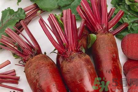 甜菜是甜的嗎？甜菜到底是不是甜的？