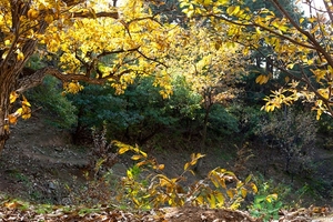 25度適合穿什么衣服?25度天氣穿什么鞋子 25度適合穿什么衣服?25度天氣穿什么鞋子