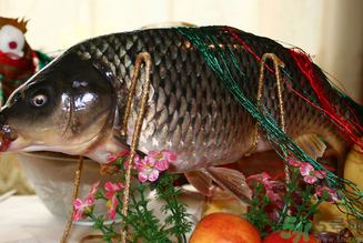鯉魚死了還能吃嗎？鯉魚死了多久不能吃？