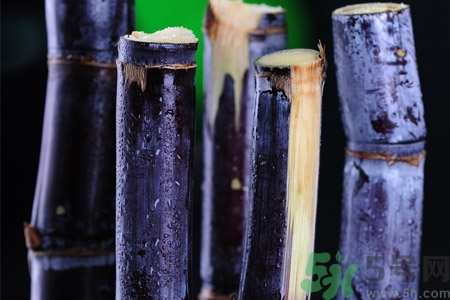 黑皮甘蔗和綠皮甘蔗功效有什么不同？黑皮甘蔗和綠皮甘蔗的區(qū)別