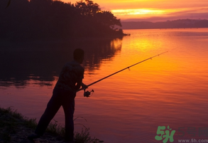 秋天可以夜釣嗎？秋天夜釣技巧