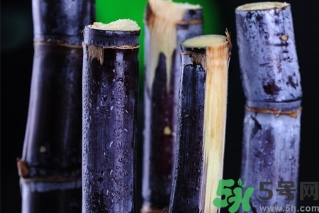 甘蔗一天吃多少最好？甘蔗能每天都吃嗎？