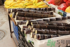 甘蔗吃多了會(huì)怎么樣？甘蔗吃多了會(huì)得糖尿病嗎？