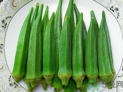 黃秋葵孕婦可以吃嗎?孕婦吃黃秋葵好嗎 黃秋葵孕婦可以吃嗎?孕婦吃黃秋葵好嗎