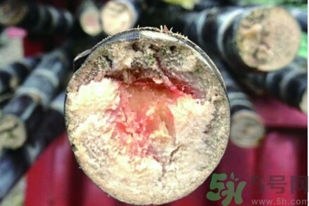 發(fā)霉的甘蔗吃了會(huì)中毒嗎？發(fā)霉的甘蔗長(zhǎng)什么樣子？