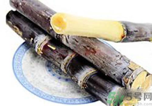 甘蔗可以放冰箱嗎？甘蔗可以在冰箱放多久？