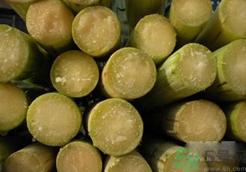 甘蔗可以放冰箱嗎？甘蔗可以在冰箱放多久？