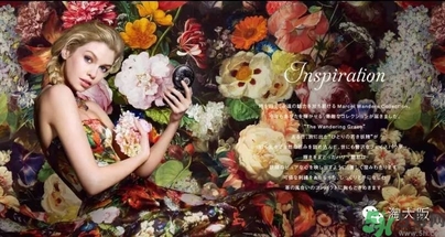 黛珂刺繡蜜粉餅怎么樣？黛珂旅行妖精粉餅好用嗎？