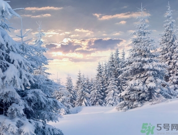 凍瘡是由于皮膚哪一部分受損而引起的？