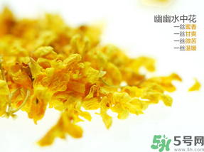 桂花可以泡水喝嗎？桂花怎么泡水？