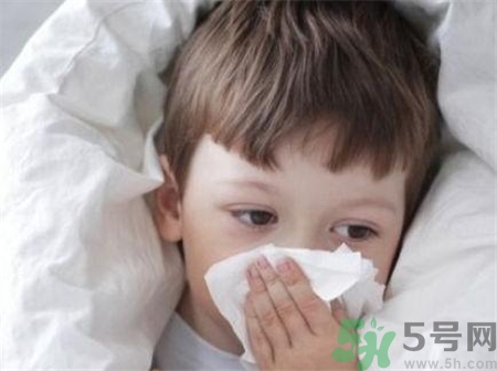 熱敷鼻子對鼻塞有用嗎?熱敷鼻子有什么用? 熱敷鼻子對鼻塞有用嗎?熱敷鼻子有什么用?