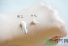 白兔祛痘膏和獅王哪個好？白兔牌暗瘡膏哪款好？