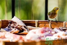 立冬后可以腌臘肉嗎?臘肉什么時候腌制最好? 立冬后可以腌臘肉嗎?臘肉什么時候腌制最好?