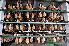 立冬后可以腌臘肉嗎?臘肉什么時候腌制最好? 立冬后可以腌臘肉嗎?臘肉什么時候腌制最好?