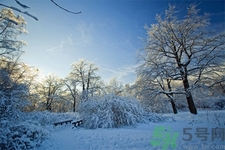 立冬能吃冬棗嗎？立冬吃冬棗有什么好處？