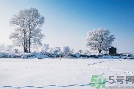 立冬能吃冬棗嗎？立冬吃冬棗有什么好處？