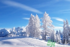 立冬能吃冬棗嗎？立冬吃冬棗有什么好處？