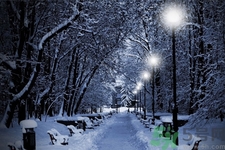 立冬能吃冬棗嗎？立冬吃冬棗有什么好處？