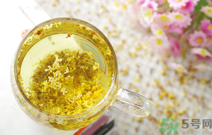 月經(jīng)期能喝桂花茶嗎？經(jīng)期能喝桂花茶嗎？