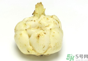 新鮮百合可以放冰箱嗎？鮮百合可以冷凍嗎？