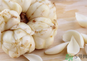 新鮮百合可以放冰箱嗎？鮮百合可以冷凍嗎？