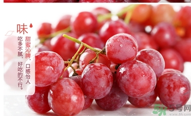 紅提的籽能吃嗎？紅提的籽怎么吃最好？