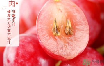 紅提的籽能吃嗎？紅提的籽怎么吃最好？