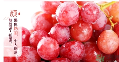 吃紅提要剝皮嗎？紅提皮可以吃嗎？