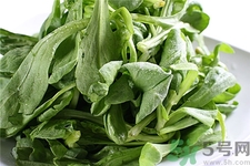 吃茼蒿有什么好處?茼蒿的營養(yǎng)價值 吃茼蒿有什么好處?茼蒿的營養(yǎng)價值