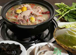 老母雞湯回奶嗎？吃老母雞會回奶嗎？